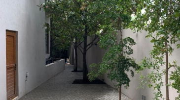 Casa Paseo del Prado 1